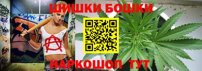 крисы Новоалтайск