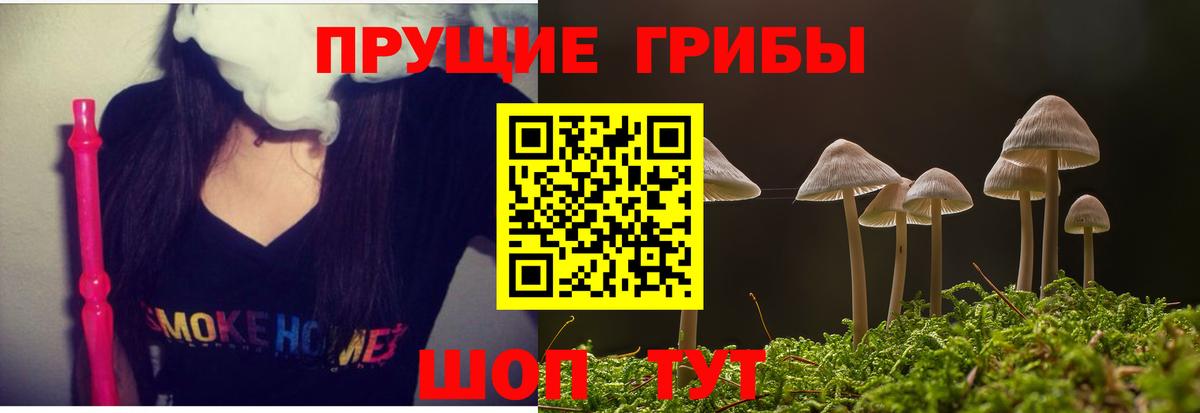 Галлюциногенные грибы MAGIC MUSHROOMS  Псилоцибиновые грибы Psilocybe  Добрянка  Вход с VPN 